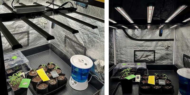 Attrezzatura essenziale per un grow box