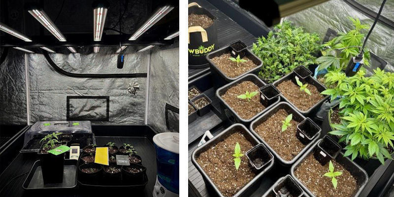 Individuare la collocazione ottimale per il grow box