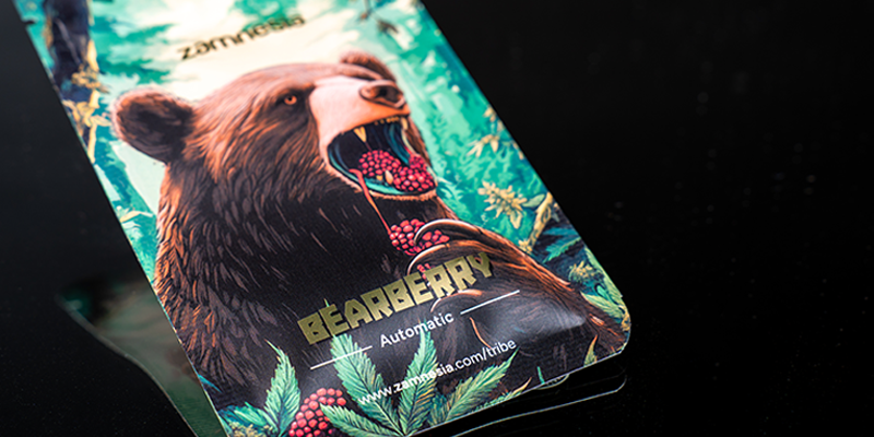 Livello 4: Bearberry Automatic (Zamnesia Seeds)