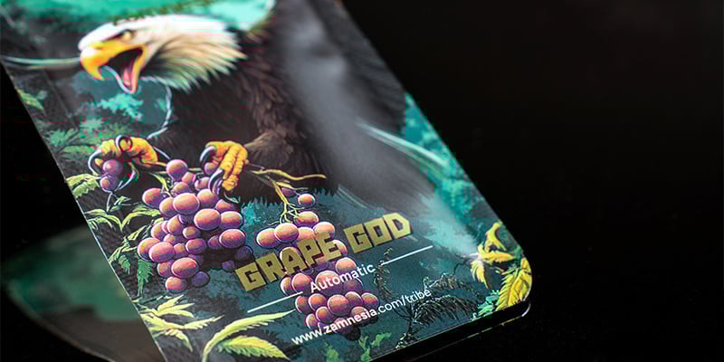 Livello 5: Grape God Automatic (Zamnesia Seeds)