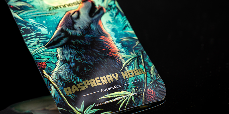 Livello 3: Raspberry Howl Automatic (Zamnesia Seeds)