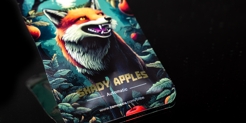 Livello 1: Shady Apples Automatic (Zamnesia Seeds)
