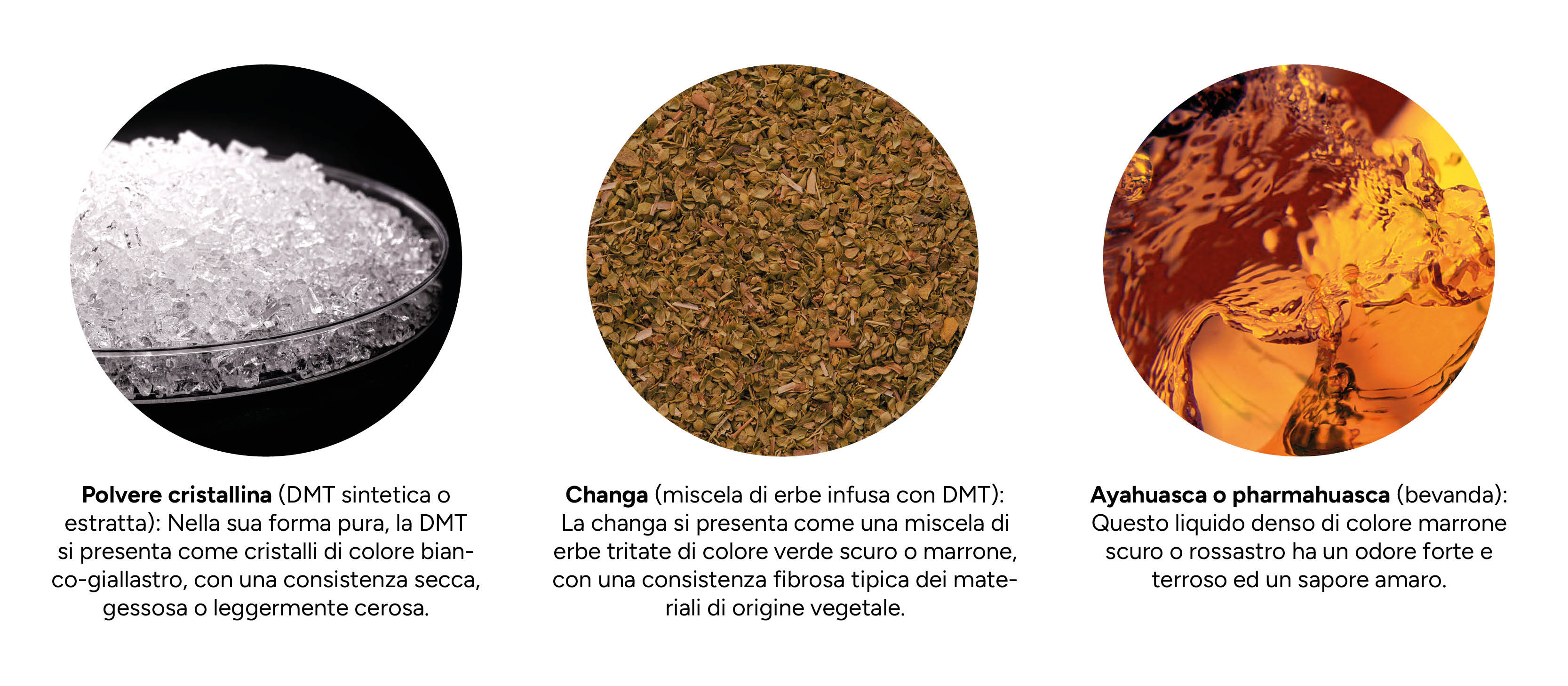 Che aspetto ha la DMT?