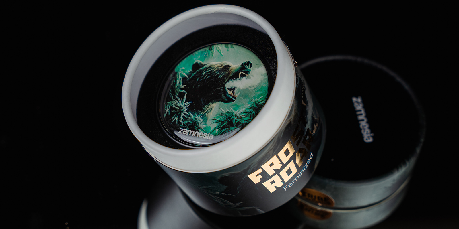 Frost Roar Femminizzata