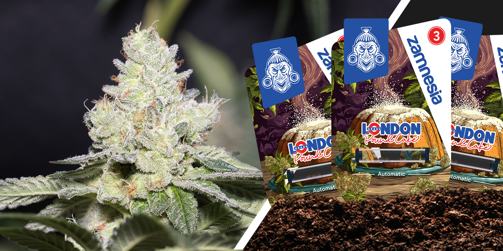 London Pound Cake: un classico vellutato dal gusto da pasticceria London Pound Cake: un classico vellutato dal gusto da pasticceria