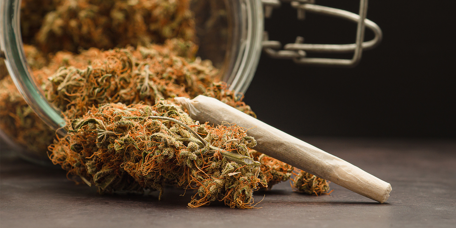 Il meglio della valley, dal seme al barattolo Il meglio della valley, dal seme al barattolo