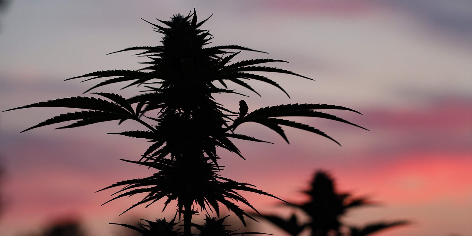 Preparati a un outdoor di successo in Polonia Preparati a un outdoor di successo in Polonia