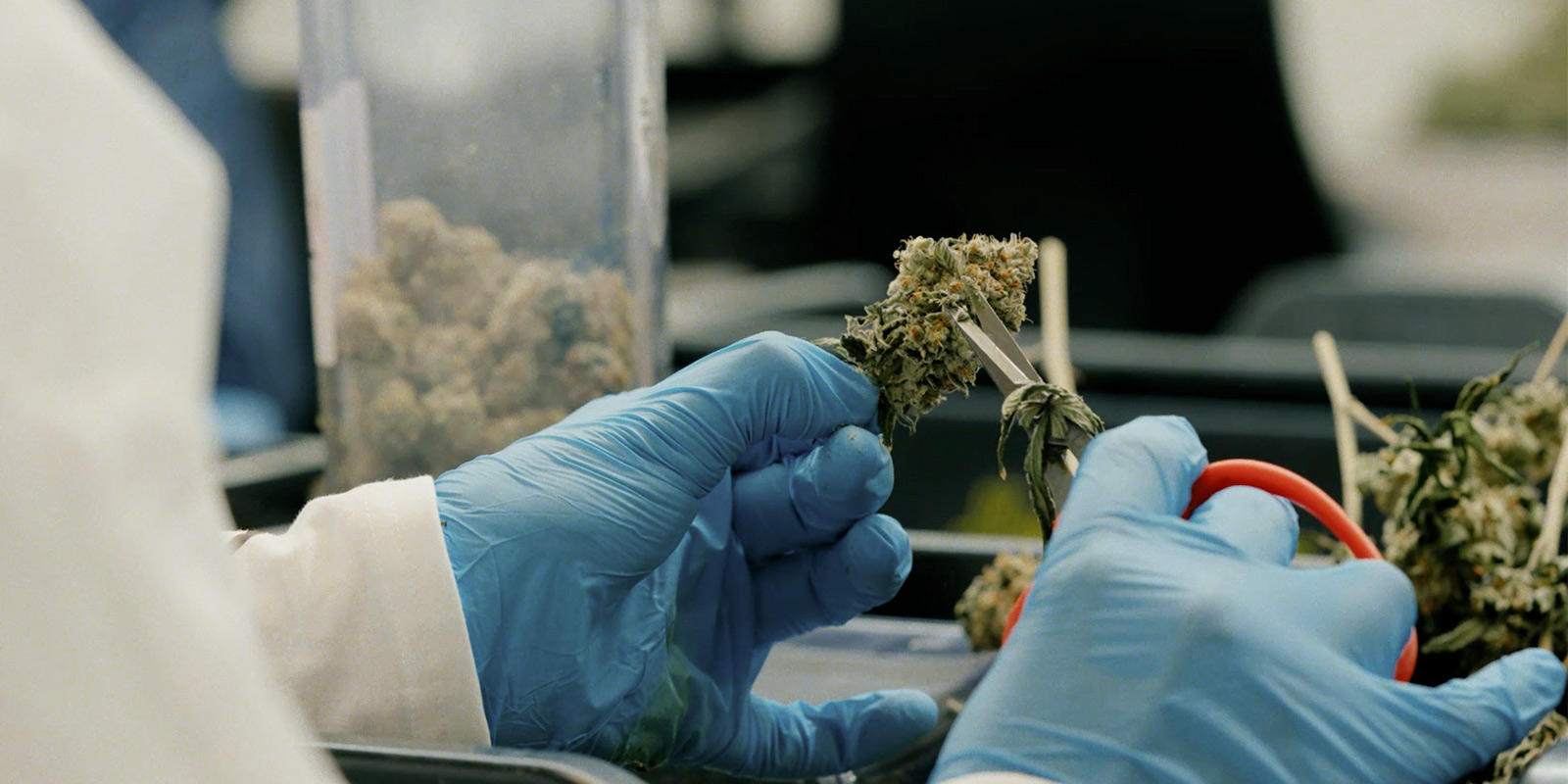 Impatto sulla comunità e sul futuro Impatto sulla comunità e sul futuro