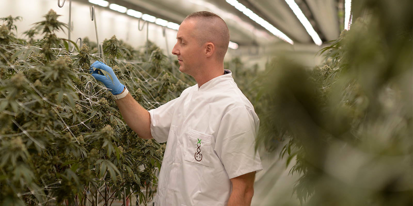 Orientarsi nel panorama attuale dell’esperimento Orientarsi nel panorama attuale dell’esperimento