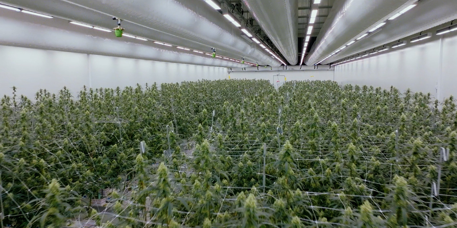 Uno sguardo al futuro Uno sguardo al futuro