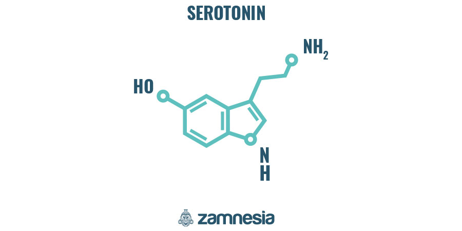 Come Funziona L'LSD?