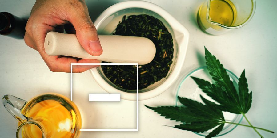 Gli Svantaggi dell'Olio di Oliva Infuso alla Cannabis