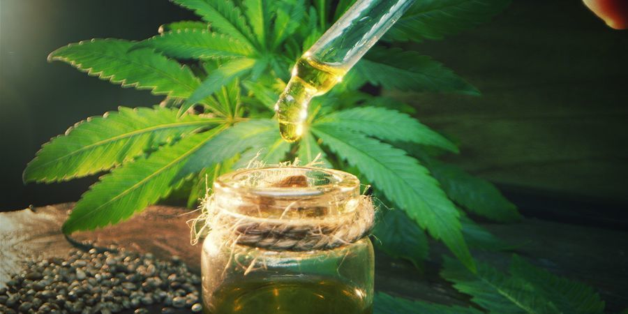 Dosare l'Olio di Oliva Infuso con la Cannabis