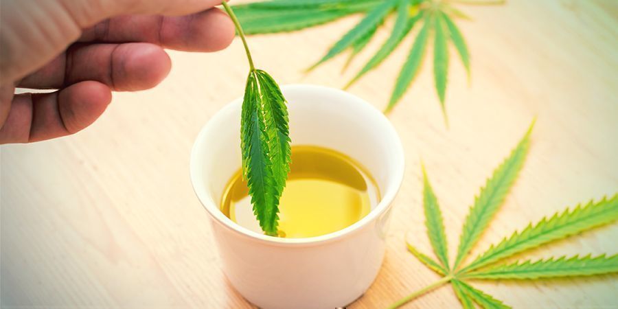 Che Cos’è l'Olio di Oliva Infuso alla Cannabis?
