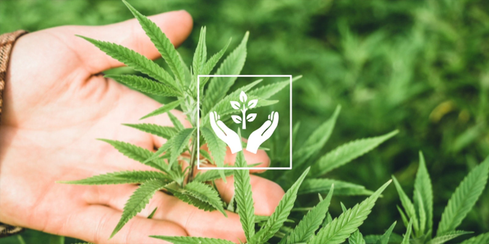 Ragione #8: Terapeutica e mindful