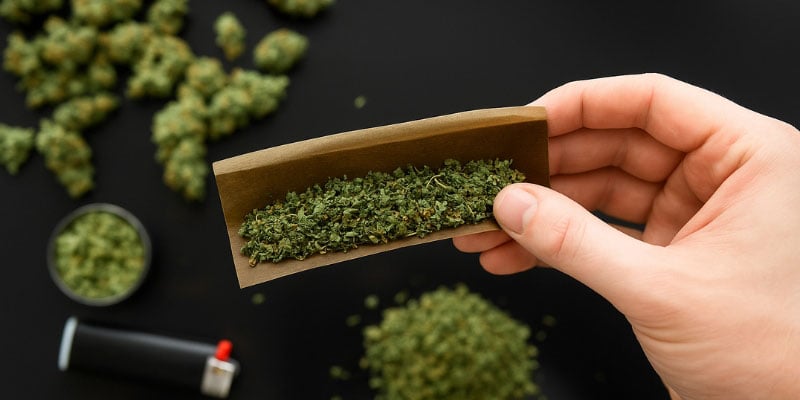 Fiore di CBD (il più popolare)