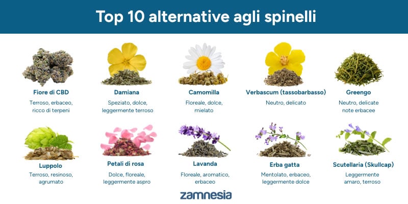 Le 10 migliori alternative al tabacco per canne