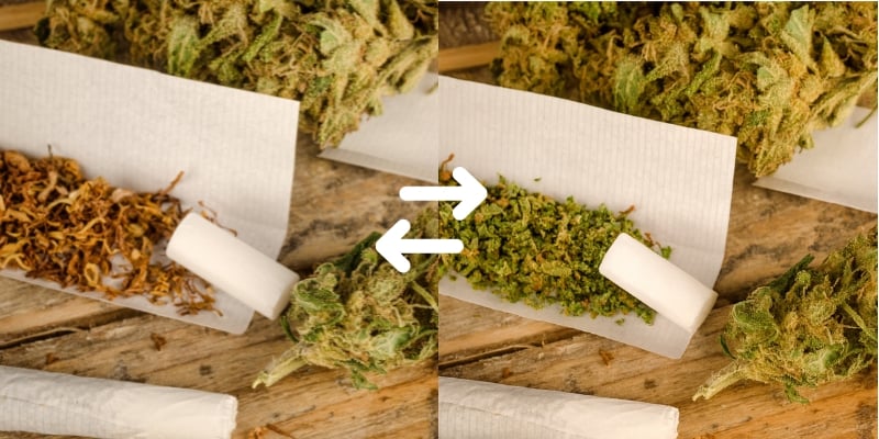 Perché smettere di usare tabacco nelle canne?