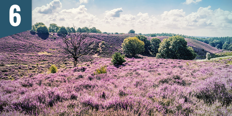 Raggiungete una zona panoramica