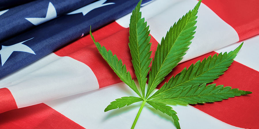 Quanto È Cresciuta L'Industria Della Cannabis Negli USA?