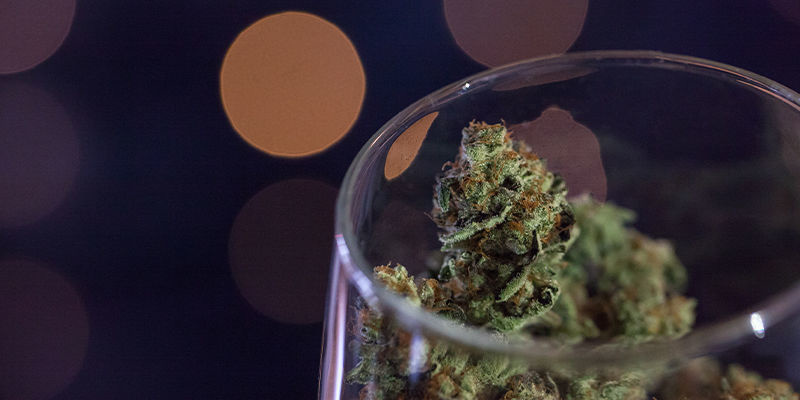Come Trasformare La Cannabis In Vino