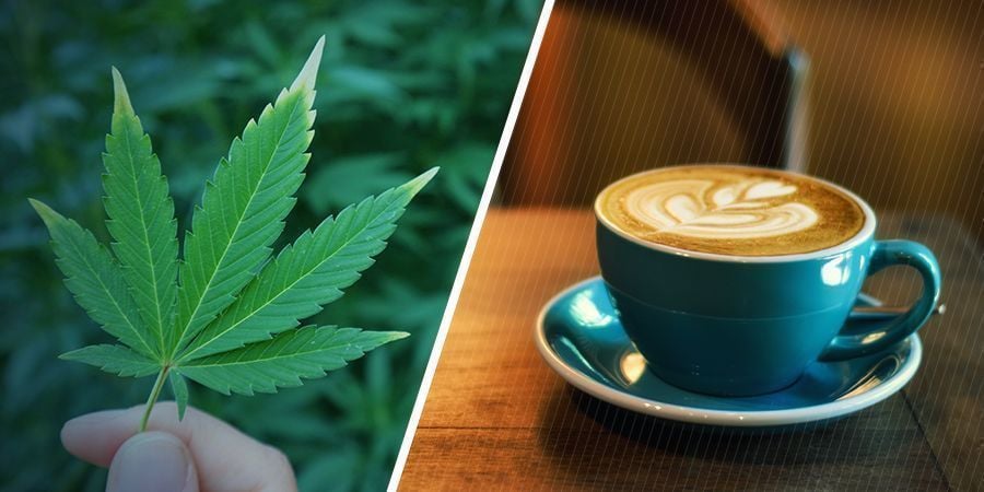 QUALI SONO I RISPETTIVI EFFETTI DI MARIJUANA E CAFFEINA?