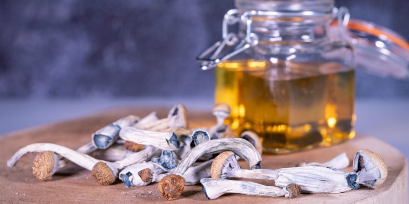 Conservare funghi e tartufi allucinogeni sotto forma di miele blu