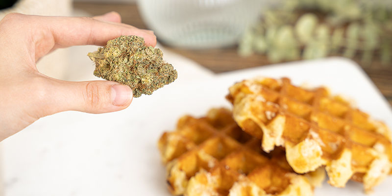 Rischi Legati Al Consumo Dei Waffle Alla Cannabis