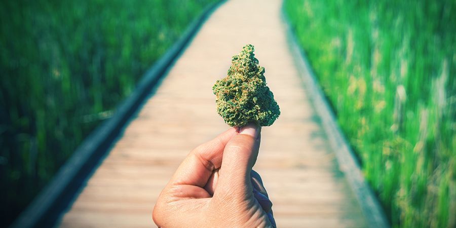 Cannabis Buone, Di Cattive E Di Realmente Deliziose