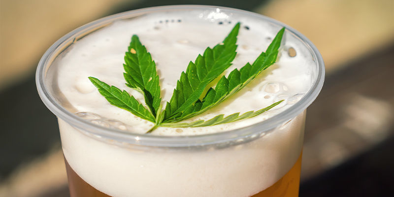Birra Alla Cannabis