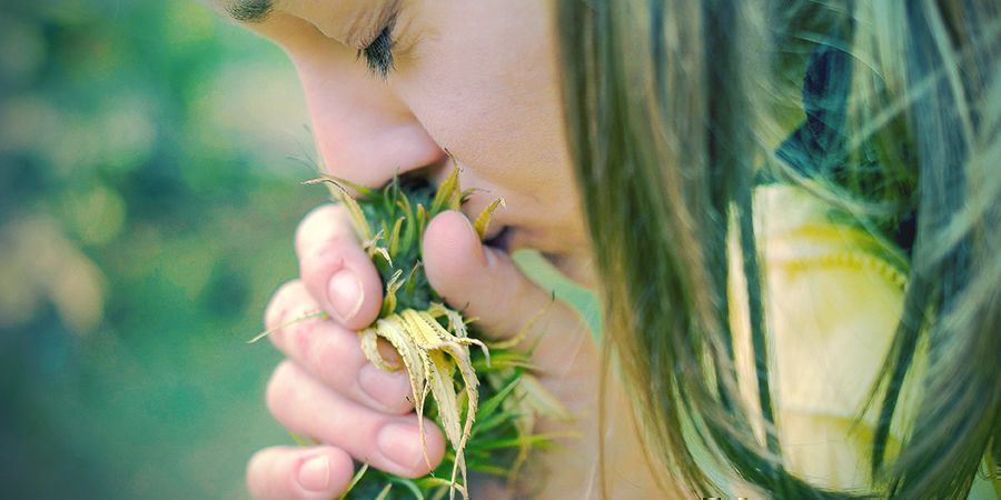 Motivi Per Evitare Il Tabacco: Senso Del Gusto E Dell'Olfatto