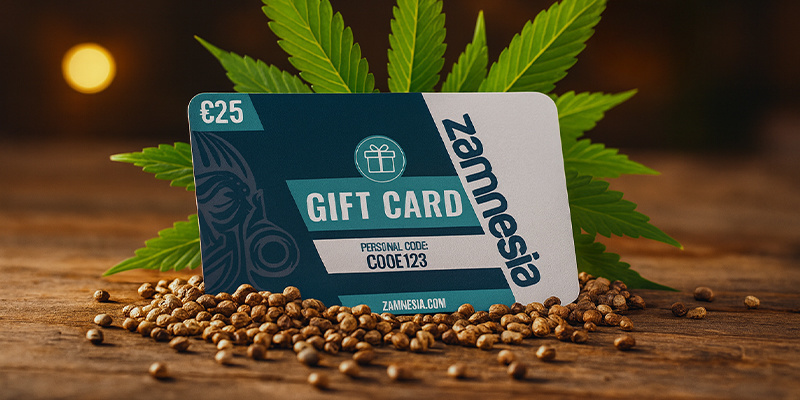 Carte regalo Zamnesia