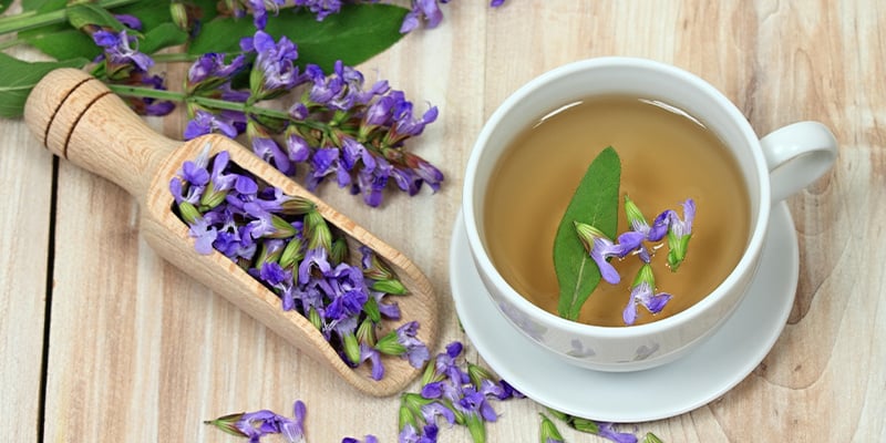 Qual è il meccanismo d'azione della Salvia divinorum?