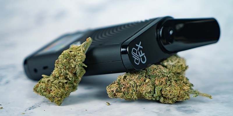 COSA FARE SE LA CANNABIS È TROPPO UMIDA O TROPPO SECCA?