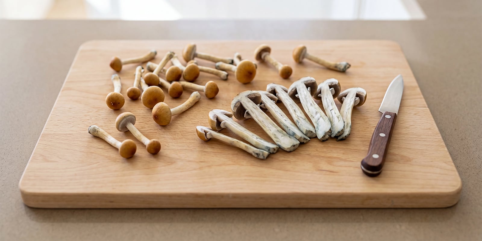 Come tagliare i funghi grandi o spessi prima dell'essiccazione Come tagliare i funghi grandi o spessi prima dell'essiccazione