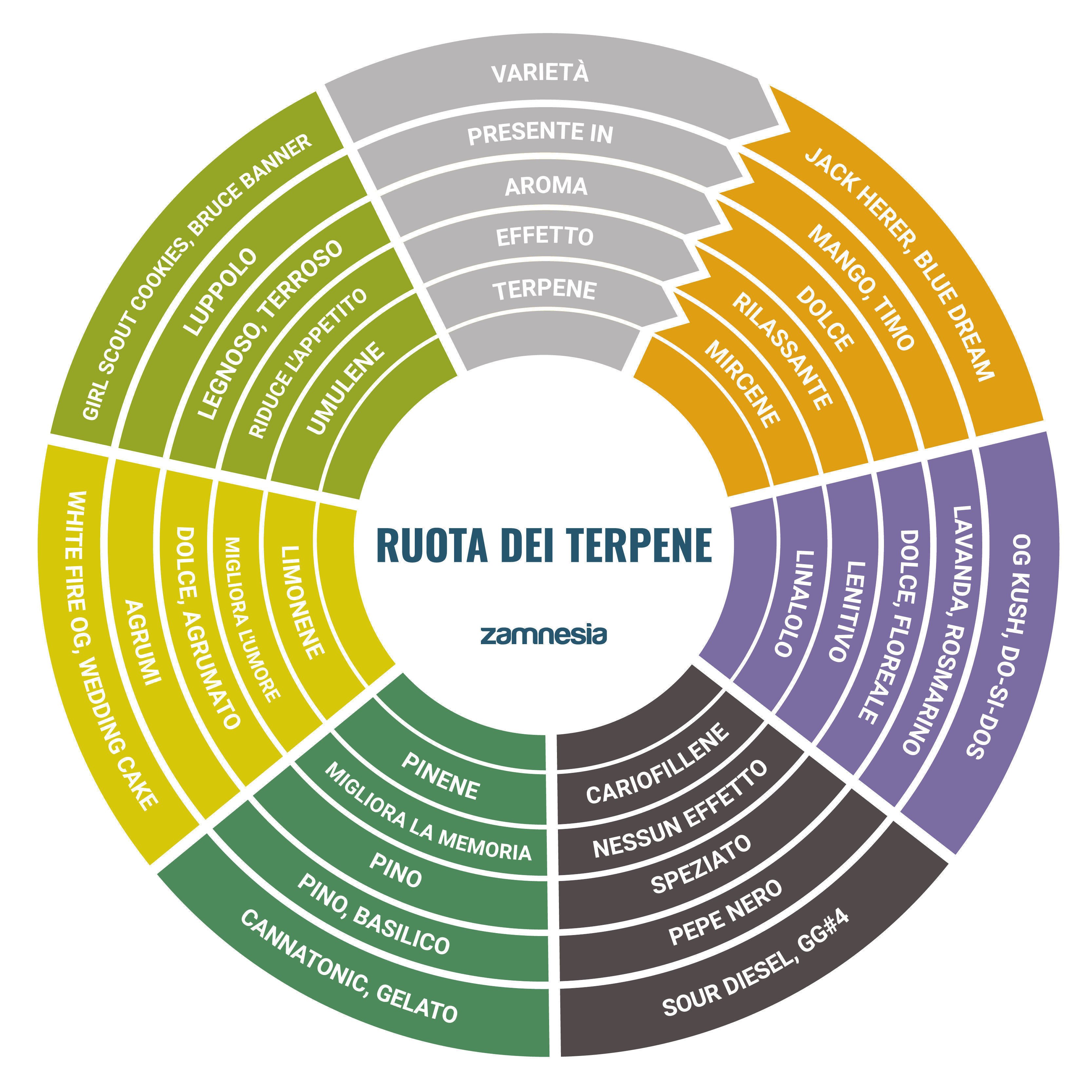 Ruota Dei Terpene