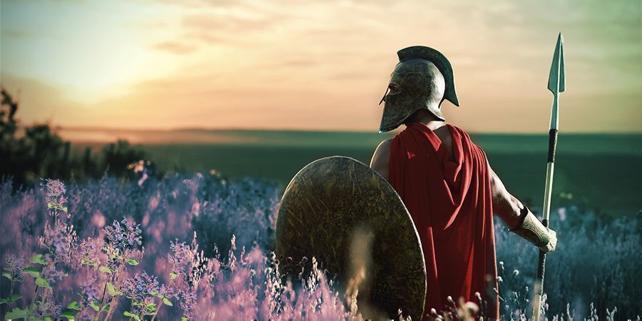 Storia Di Erba Gatta