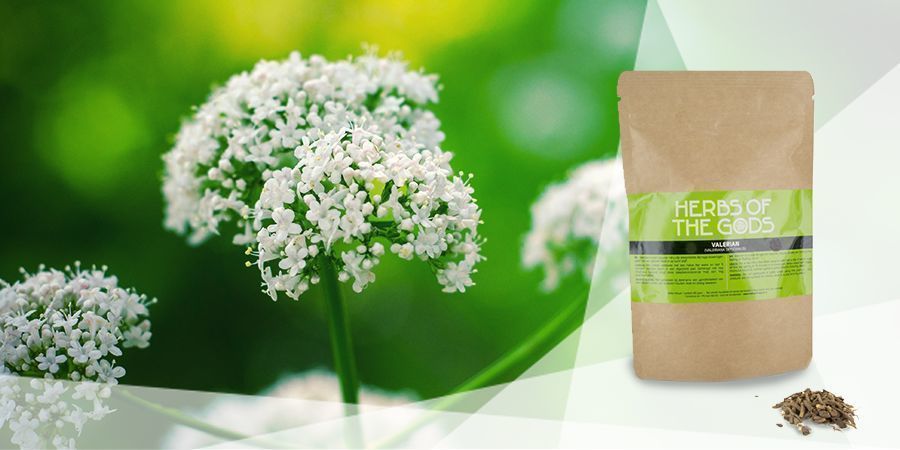 Valeriana - Erbe Da Vaporizzare Per Migliorare L'Umore