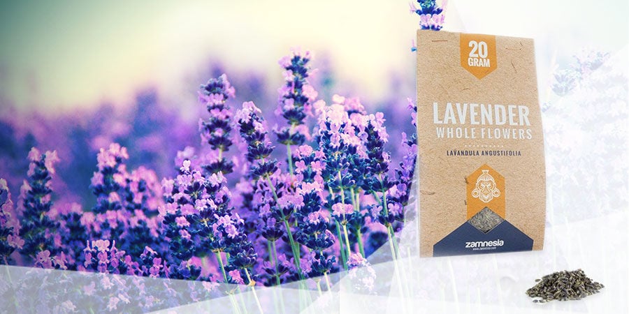 LAVANDA