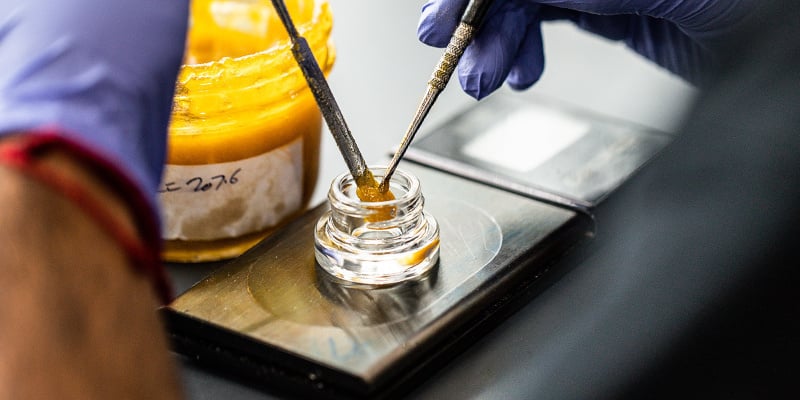 Come vengono prodotti i concentrati di cannabis?