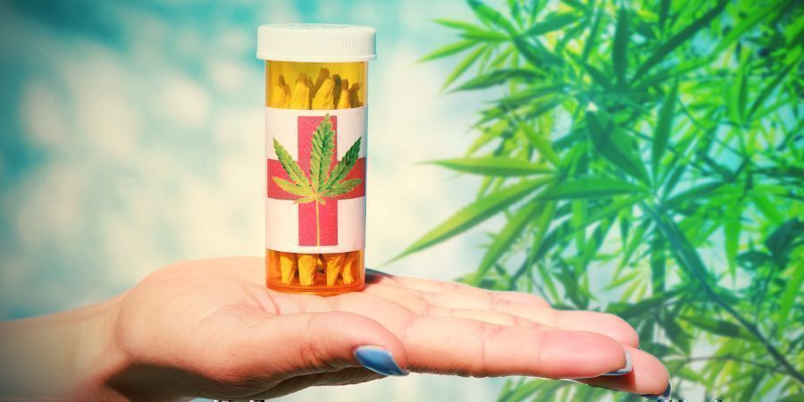 Collettivi Cannabis: Organizzazioni Senza Scopo Di Lucro