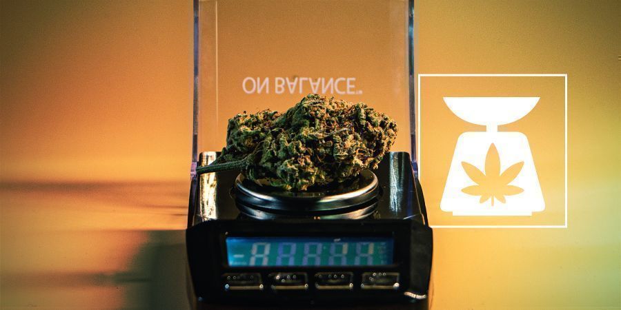 Tutto Ciò Che Devi Sapere Sulle Misure Di Peso Usate Per La Cannabis