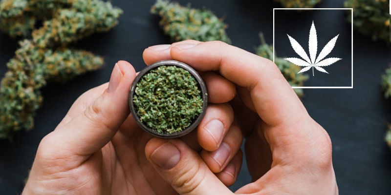 Cos'È La Cannabis Naturale?