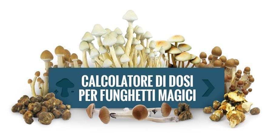 calcolatore per definire il dosaggio di funghi magici