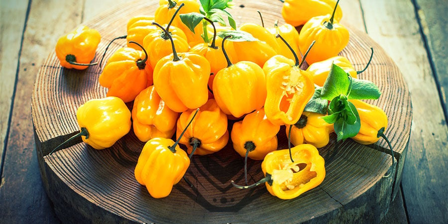 Peperoncino Habanero