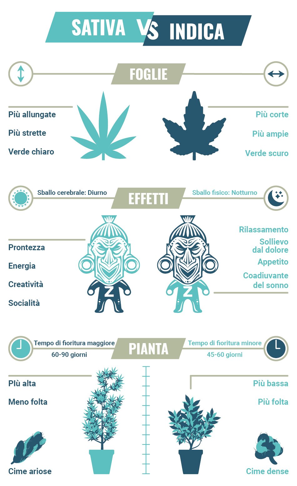 Sativa Vs. Indica