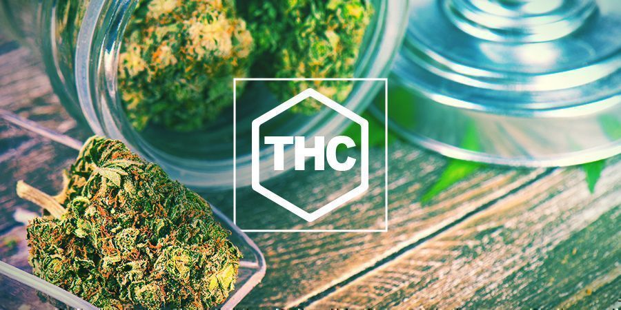 Quando È Stato Scoperto Il THC?