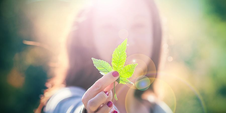 Appassionati di Cannabis