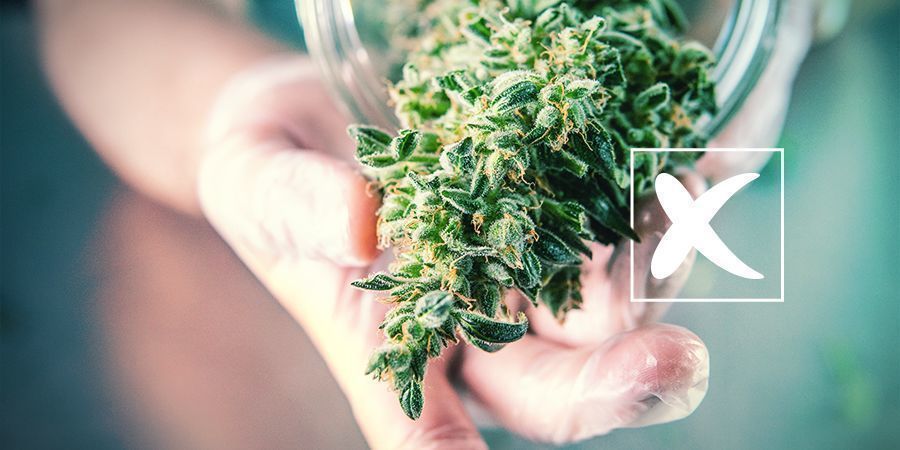 Semi di Cannabis Regolari: Svantaggi