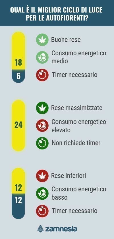 Qual È Il Miglior Ciclo Di Luce Per Le Autofiorenti? infografica